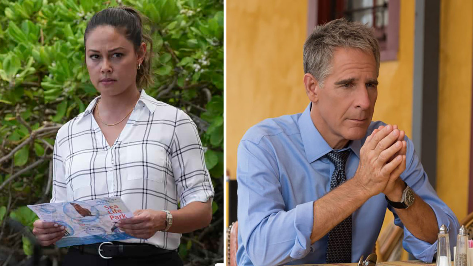 Some of the cast members from the canceled ‘NCIS New Orleans’ spinoff