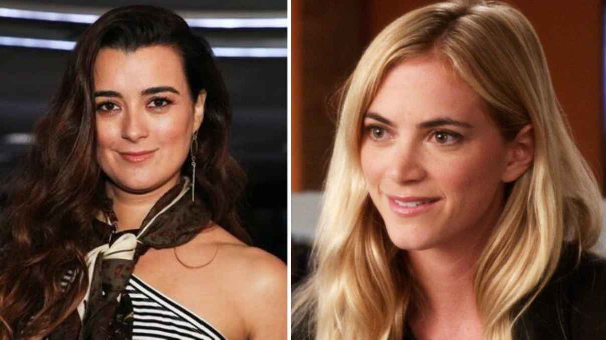 Why did Emily Wickersham Leave NCIS Despite Successfully Replacing Cote